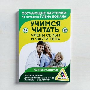 Обучающие карточки по методике Глена Домана «Учимся читать. Части тела и члены семьи», 30 карт, А6