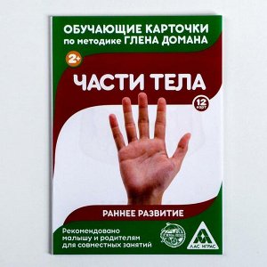 Обучающие карточки по методике Г. Домана «Части тела», 12 карт, А6