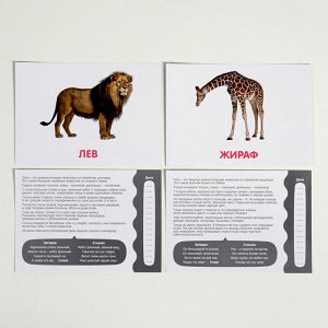 Обучающие карточки по методике Глена Домана «Животные жарких стран», 12 карт, А5