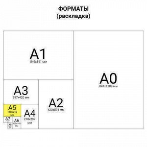 Тетрадь BRAUBERG &quot;EXTRA&quot; 24 л., клетка, плотная бумага 80 г/м2, обложка картон, 105710