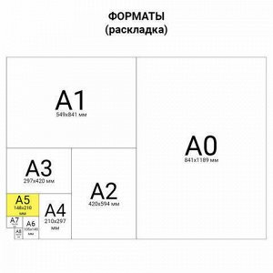 Блокнот А5 (146х205 мм) 60 л., гребень, перфорация на отрыв, лакированный, BRAUBERG, Бордовый, 111271