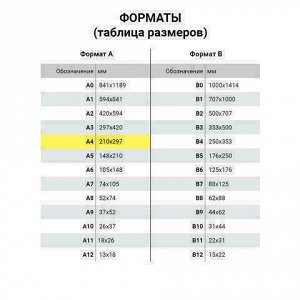 Картон для подшивки документов А4, немелованный, 100 листов, 260 г/м2, BRAUBERG, 210х297 мм, 124877