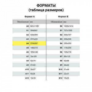 Блокнот БОЛЬШОЙ ФОРМАТ (200х252 мм) А4, BRAUBERG "Income", 128 л., гладкий кожзаменитель, клетка, красный, 125205