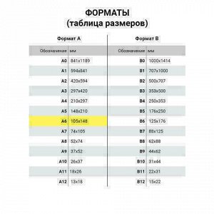 Блокнот МАЛЫЙ ФОРМАТ (105х148 мм) А6, 120 л., гребень сбоку, пластиковая обложка, выборочный лак, клетка, BRAUBERG, "Музыка", 125382