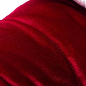 Куртка зимняя, L (ОШ 29-34, ОГ 41-47, ДС 31 см), красная