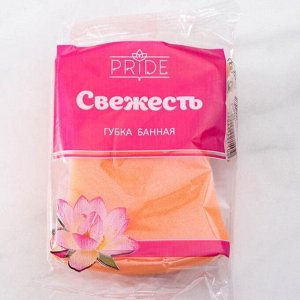 Губка для тела «Свежесть», 13?9?4 см, цвет МИКС