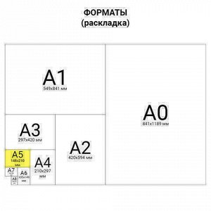 Блокнот А5, 80 листов, спираль пластиковая, обложка пластик, клетка, BRAUBERG "Metropolis", ФИОЛЕТОВЫЙ, 110978