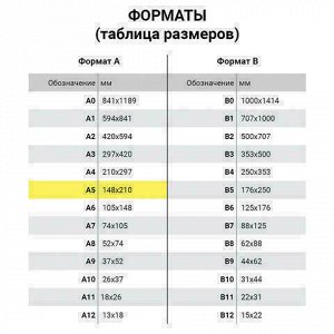 Бумага офисная DATA COPY, МАЛОГО ФОРМАТА (148х210 мм), А5, 80 г/м2, 500 л., марка А+, Германия, белизна 170%, 521839