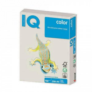 Бумага цветная IQ color, А4, 160 г/м2, 250 л., тренд, серая, GR21