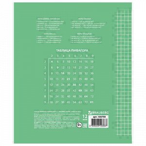 Тетрадь 12 л. BRAUBERG ЭКО "5-КА", клетка, обложка плотная мелованная бумага, ЗЕЛЕНАЯ, 104759