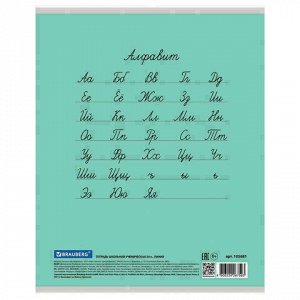 Тетрадь 24 л. BRAUBERG "ЭКО" линия, обложка плотная мелованная бумага, ЗЕЛЕНАЯ ПАСТЕЛЬНАЯ, 105681