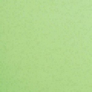 Картон цветной А4 ТОНИРОВАННЫЙ В МАССЕ, 50 листов, ЗЕЛЕНЫЙ, в пленке, 220 г/м2, BRAUBERG, 210х297 мм, 128984
