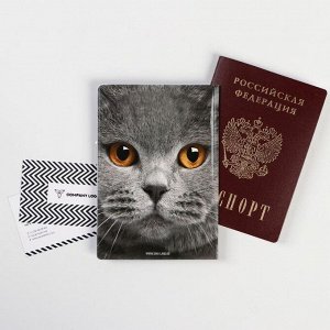 Обложка для паспорта "Кот" (1 шт)
