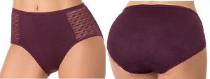 Si00994 Dentelle Трусы женские. size+ (серия VIOLA)