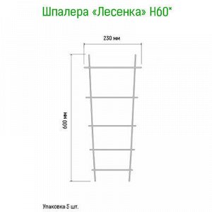 Шпалера для комнатных растений "Лесенка" h0,60м, проволочная