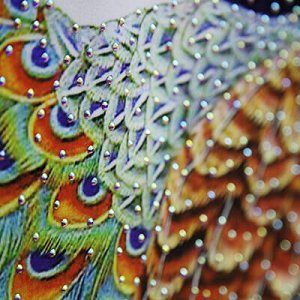 Панно "Жар-птица" плотная ткань со стразами, 0,9х2м (Китай)