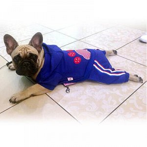 Одежда для собаки "Спортивный комбинезон с капюшоном" на кно