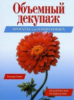 Объемный декупаж. Проекты для начинающих, Стокс Хильда 112стр., 275х219х8мм, Мягкая обложка