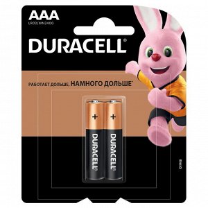 DURACELL Basic AAA Батарейки алкалиновые 1.5V LR03 2шт