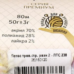 Пряжа "Лотос травка стрейч" 70% акрил, 28% полиамид, 2% лайкра 80м/50гр (238 разн 2)