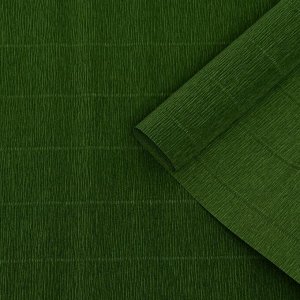 Бумага для упаковок и поделок, Cartotecnica Rossi, гофрированная, травяная, зеленая, однотонная, двусторонняя, рулон 1 шт., 0,5 х 2,5 м