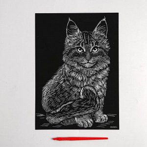 Гравюра "Котёнок мейн-кун" с металлическим эффектом золота А4