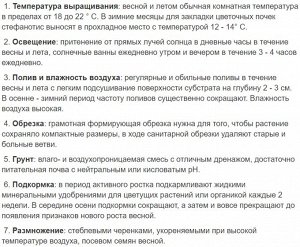 Стефанотис Диаметр горшка: 10 см
Высота примерно 35 см

Второе фото в реале

В культуре не так много красивоцветущих лиан. Одним из таких растений является стефанотис, который из-за происхождения и ар