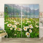 Фотошторы Альпийские ромашки