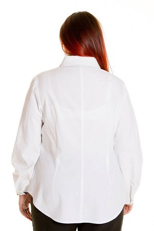 Блузка Нежная блузка полуприлегающего силуэта из сорочечной ткани стрейч. Модель с отложным воротником на стойке и длинными втачными рукавами, посаженными на манжеты. По центру переда заложена планка 