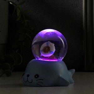 Сувенир полистоун водяной шар, свет "Морской котик с кругом" от батареек МИКС 7х8х7см