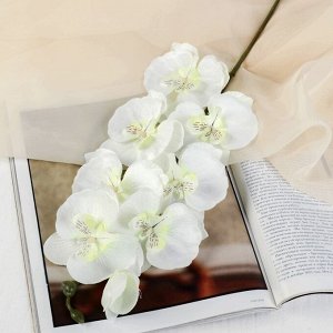 Цветы искусственные "Орхидея молди" 9*66 см, белая