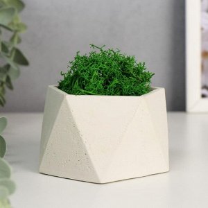 Кашпо бетонное "Пятиугольник" высота 5,5 см белое со мхом (мох зеленый стабилизированный)