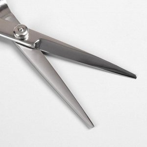 Ножницы парикмахерские с упором, лезвие — 6 см, цвет серебряный