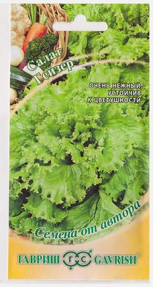 Салат Гейзер листовой (Код: 8299)