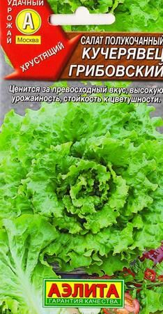 Салат Кучерявец Грибовский (Код: 9591)