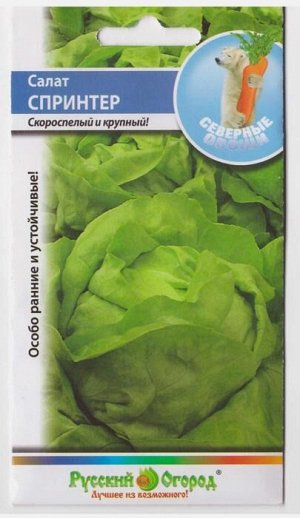 Салат Спринтер кочанный (Код: 14616)