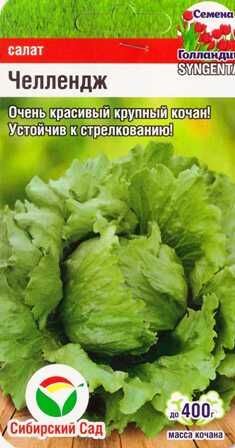Салат Челлендж (Код: 86580)