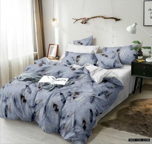 Комплект постельного белья 2-спальный с Евро простыней, поплин (Аир)