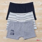 Боксеры DOMI BOYS 62000-40, 3 шт. в уп.