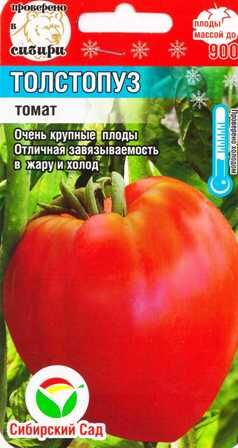 Томат Толстопуз (Код: 84858)