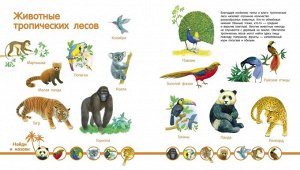 Энциклопедия малыша Мир животных