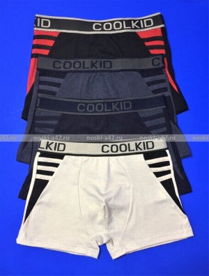 Детские трусы-боксеры для мальчиков  COOL KID арт. 6905 (6902)