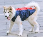 Утепленный комбинезон для животного, цвет синий/красный