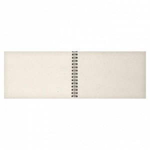 Альбом для рисования 130 х 190, ЗХК «Сонет», 50 листов, 80 г/м?, на гребне, бумага серая марка Б