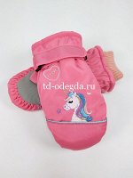 Варежки 841-3017