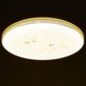 Люстра с ПДУ CL-175/35 72Вт LED 2700-6500К диммир., с ночником, белый 39х8 см