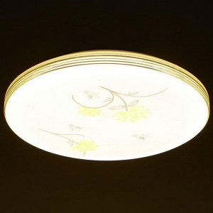 Люстра с ПДУ CL-176/35 72Вт LED 2700-6500К диммир., с ночником, белый 39х8 см