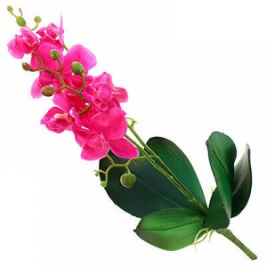 Цветок "Орхидея пурпурная" с корнем 43см (Китай)