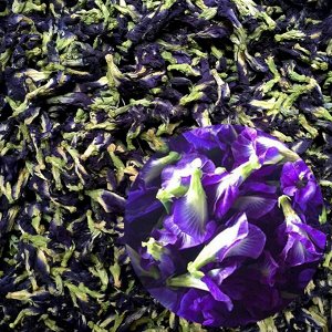 Синий чай                  Butterfly Pea (Blue Tea)