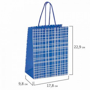 Пакет подарочный 17,8x9,8x22,9 см, ЗОЛОТАЯ СКАЗКА "В голубую клетку", ламинированный, 606597